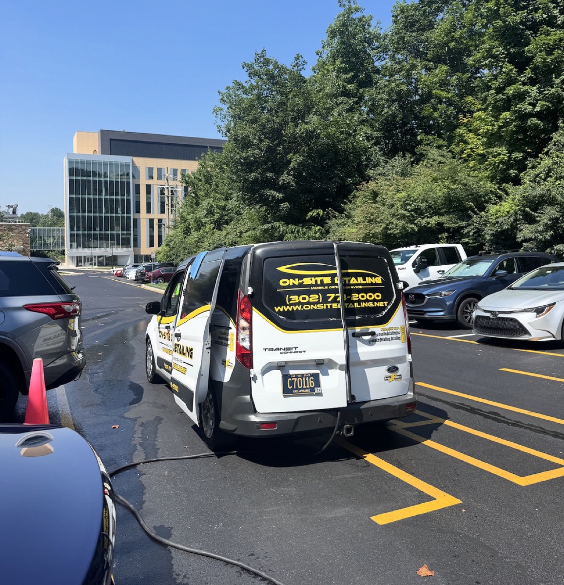 Professional auto detailing before and after result