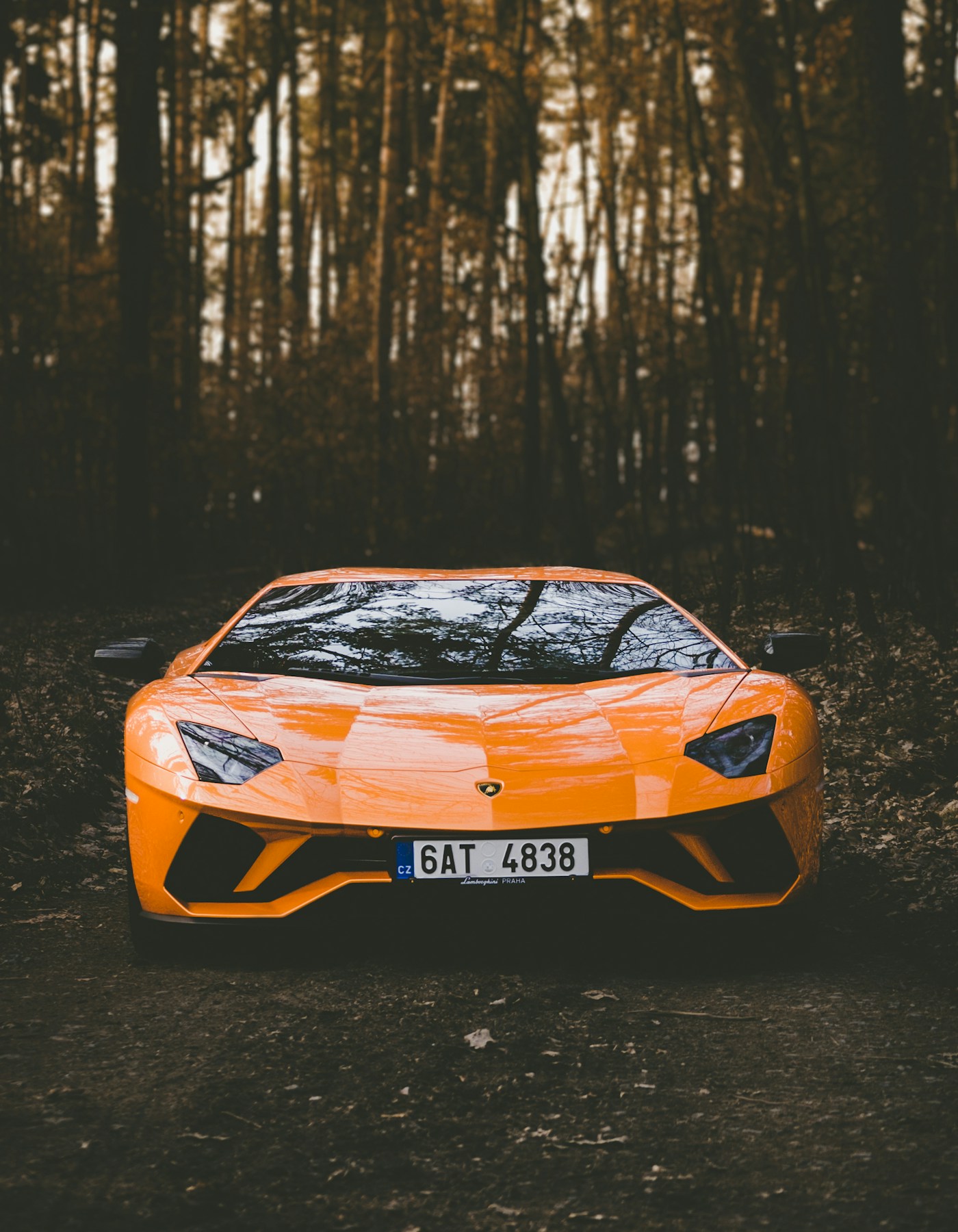 Auto detailing Narberth PA — mobile car detailing, ceramic coating, and paint correction in Narberth, Wynnewood, Merion Station & Lower Merion Township